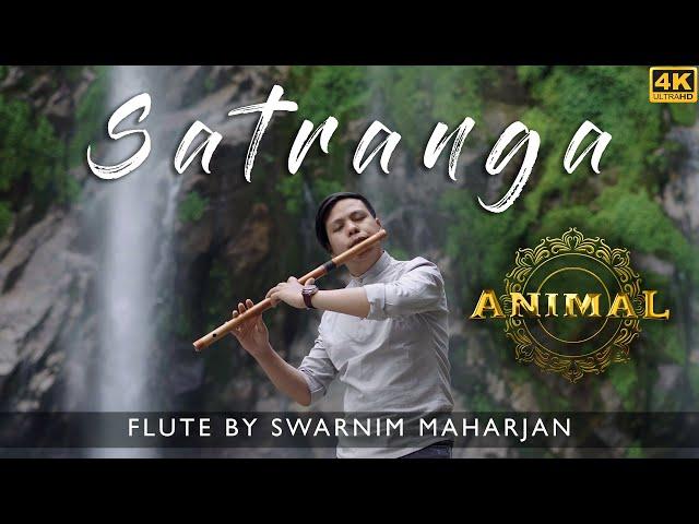 Satranga - Animal | Melodious Flute Cover by Swarnim Maharjan