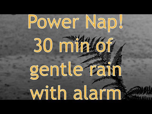 Gentle summer rain 30 minutes + 1 min wake- up buzzer - Best Ambient nature sounds for power nap