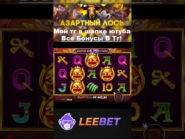 Сочный накид в гизе. занос на х1000 #заносынедели