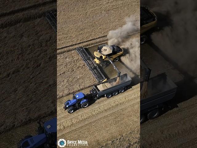 New Holland CR11 Combine. Größter Mähdrescher der Welt ? Neue Video auf YouTube #farming #Ernte2024