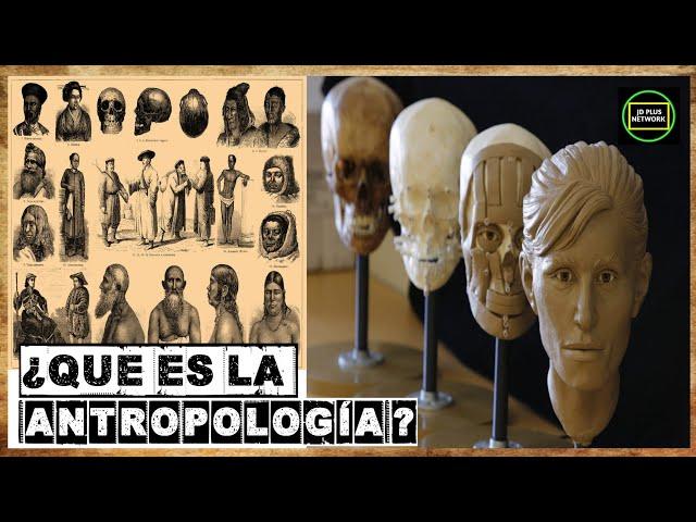 ¿Que es la antropología?¿Qué estudia la antropología? Conoce sus aplicaciones y campo laboral️