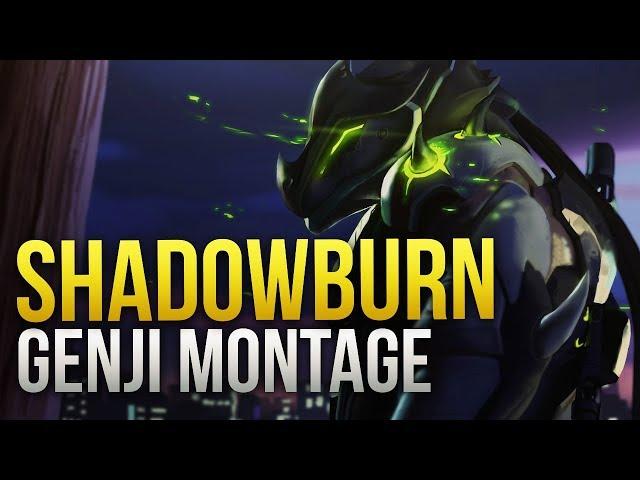 ShaDowBurn - GOD Genji Montage - Overwatch Montage