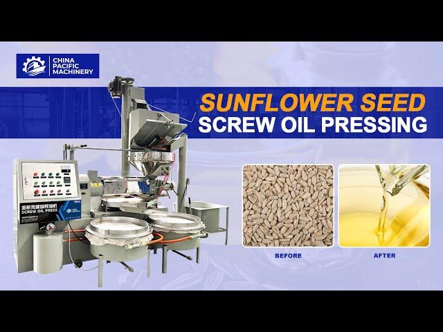 Cold Pressed Sunflower Seeds Screw Oil Press Machine|CE Soybean Peanut Sesame Seeds Oil Expeller