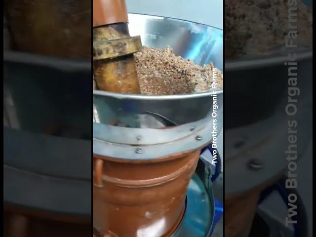 Cold pressed method of Groundnut oil I Peanutoil process video