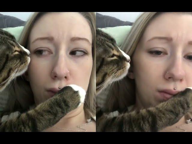 Overly Romantic Cat Annoys Owner