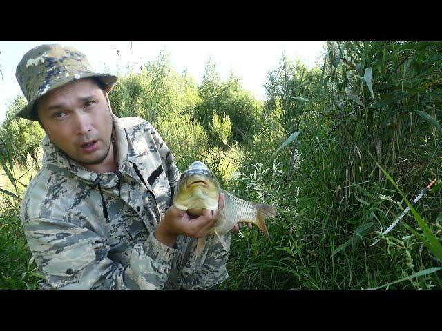 Забрели на дикий водоем