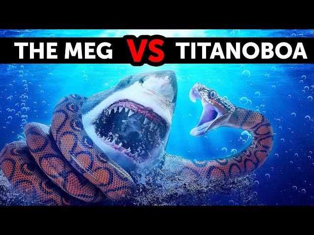 What If Megalodon Met the Biggest Snake Ever