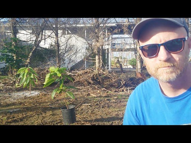 Sunday Evening Show: Future Projects