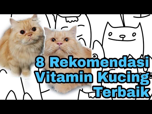 8 recommendations for the best cat vitamins #story18 (Gembul Family)