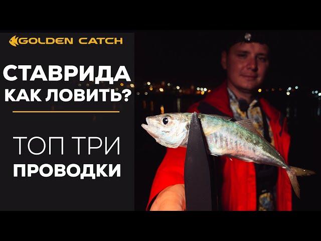 КАК ЛОВИТЬ СТАВРИДУ. Топ 3 проводки. Все нюансы. Рыбалка на море!