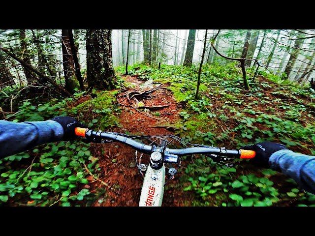 Ten Minutes Of Raw Mountain Bike ASMR