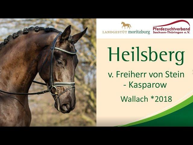 Verkaufspferdewoche 2022 - Verkaufspferd Heilsberg