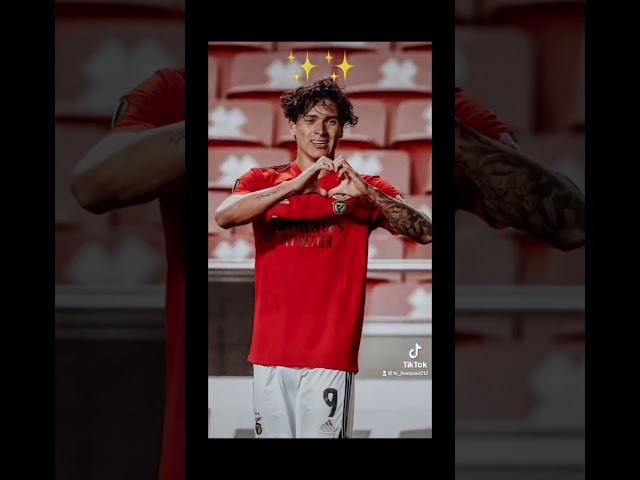 Nunez’s hair at Benfica 