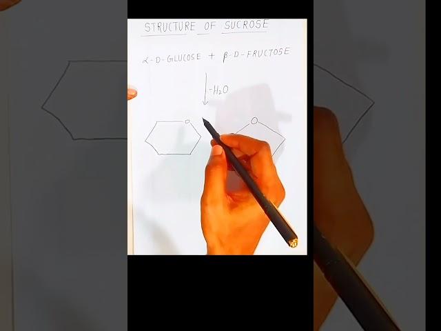 How to write sucrose structure? #shorts