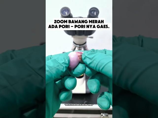 lahsun Ko microscope se dekha  #facts #youtubeshorts #science