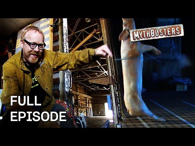 Can A Killer Cable Snap A Man In Two? | MythBusters | Season 4 Episode 22 | Full Episode