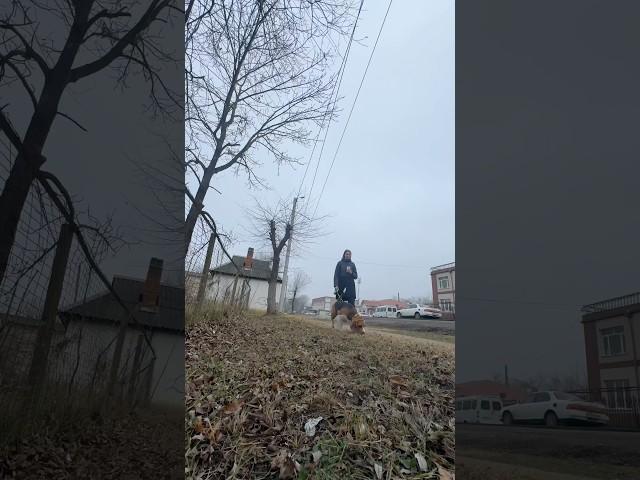 Любите себя? 🫣 #мамамаша #уборка #бытовуха