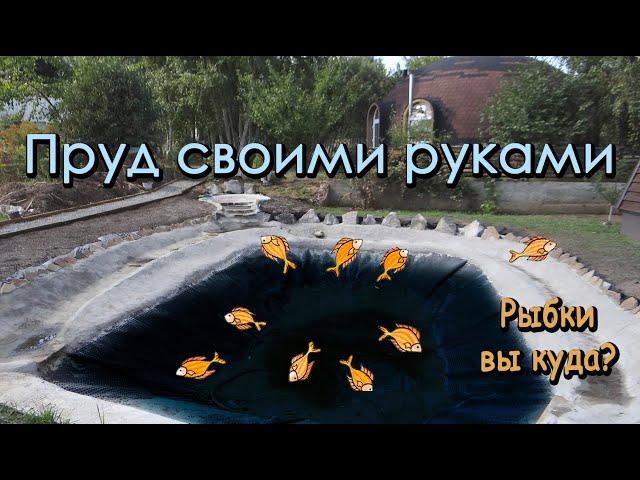 Пруд во дворе. Не повторять!