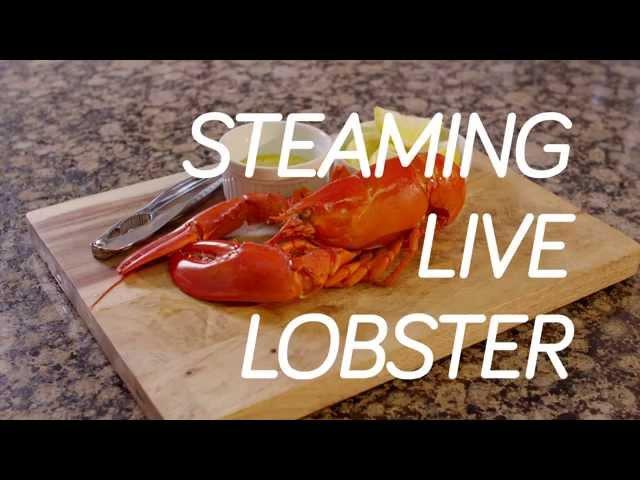 Cooking Lobster Tips - How to Steam Live Maine Lobsters