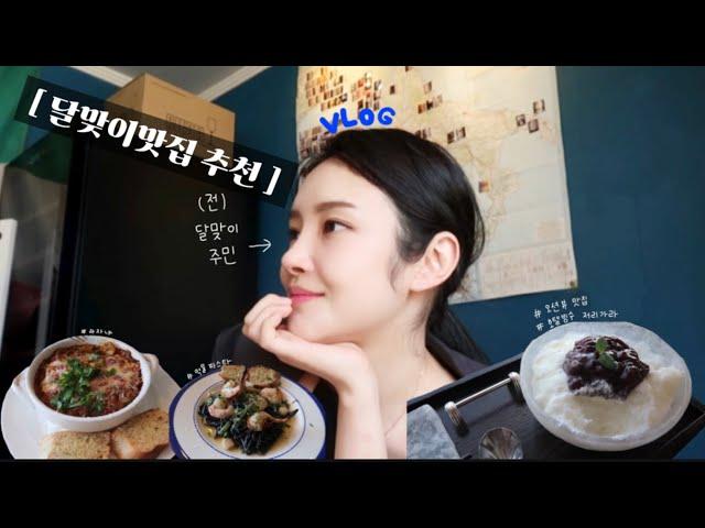 VLOG 해운대 달맞이 주민 추천 맛집 / 해운대 숨은 맛집 코스 / 달맞이 맛지도를 완성한 채도 / 고동운식당 / 트라토리아 고동운 / 비비비당 / 호텔빙수 뺨치는 가성비 카페