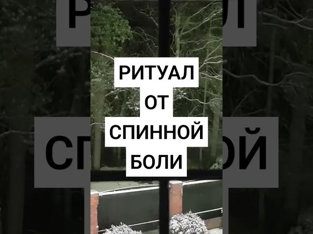 Ведьма Инга Хосроева #ведьминаизба#ритуал#отспиннойболи#магия#заговор