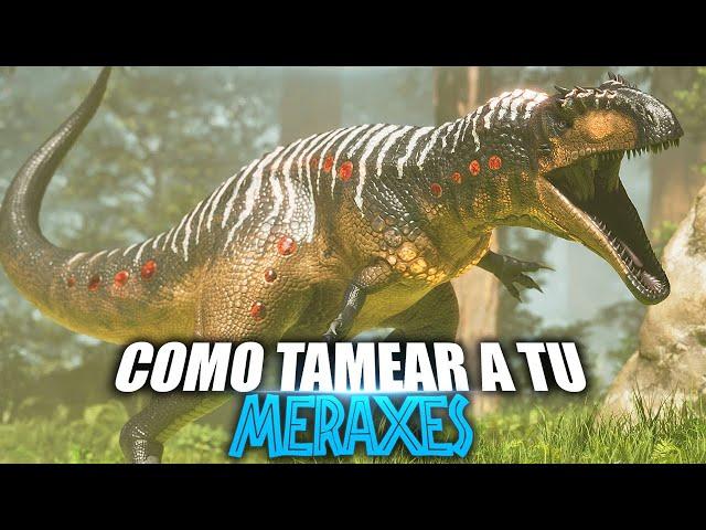 COMO TAMEAR A TU MERAXES | Guia Español | Ark: Survival Ascended/Evolved