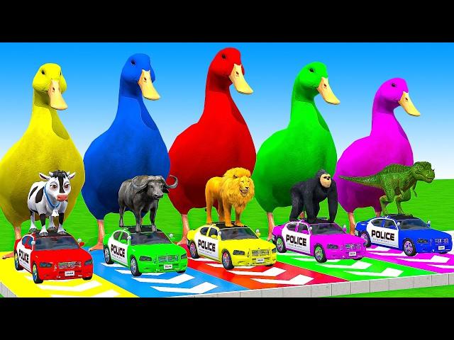 5 Giant Duck Cartoon, Cow, Mammoth, Elephant, Lion, Paint Wild Animals Crossing Fountain Animation