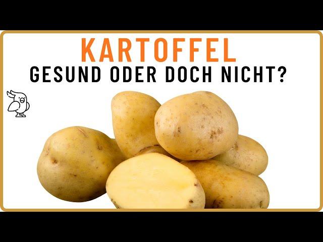 KARTOFFEL WIRKUNG Wie gesund ist die Kartoffel wirklich? Dickmacher oder Superheldin?