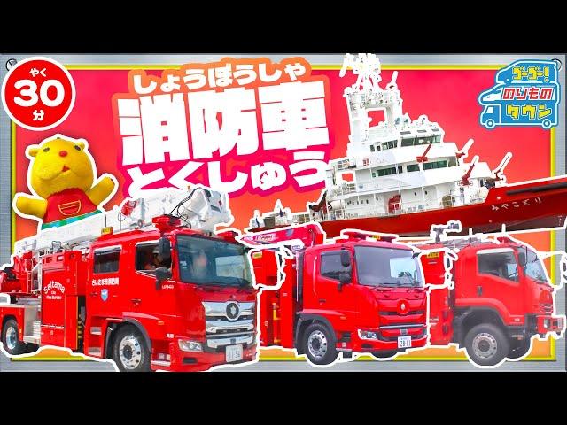 【のりもの図鑑】消防車とくしゅう