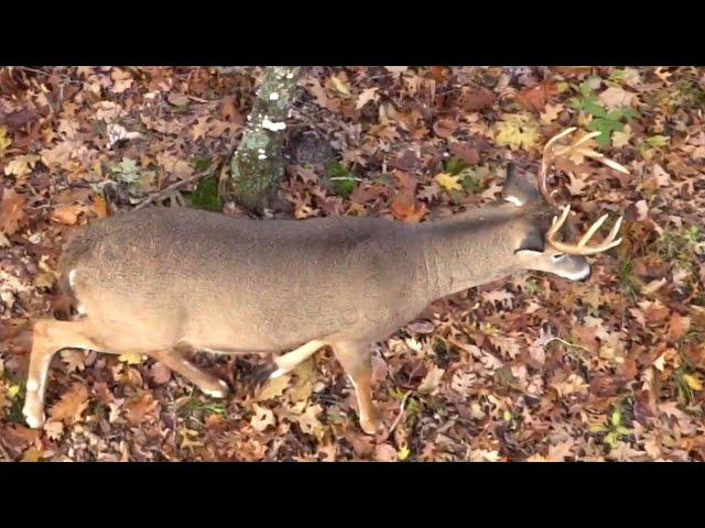 Reading Topo Maps for Deer Stand Strategies