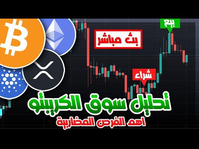 بث مباشر - هل سنشهد بداية موسم العملات الرقمية خلال تداولات الشهر الحالي ؟