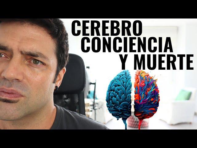 Cerebro, Conciencia y Muerte: Analizando El Libro "La Muerte No Existe" De Allix