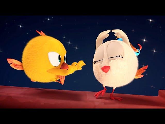 Onde está Chicky? 2022 | O GATO E O SORRISO | Desenhos Animados Infantil | Novos episódios