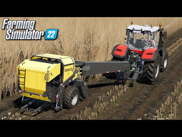 Topola energetyczna - Farming Simulator 22 | #54