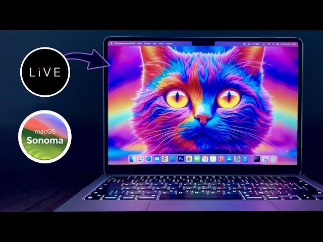 Как установить собственную живую заставку в MacOS / macOS Sonoma Set Own Customize Live Screensaver