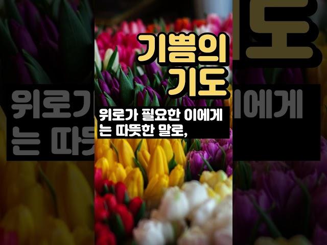기쁨의 기도 l 오늘의 기도 ㅣ 기도 ㅣ 1분기도