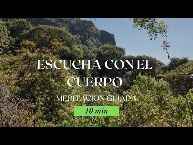 10 min Regula tu Sistema Nervioso | Meditación Escaneo Corporal