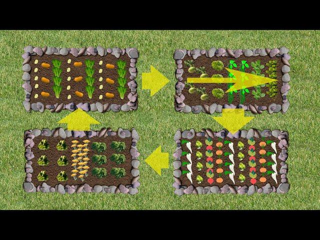 Beetplanung leicht gemacht - Ganzjährig Gemüse ernten