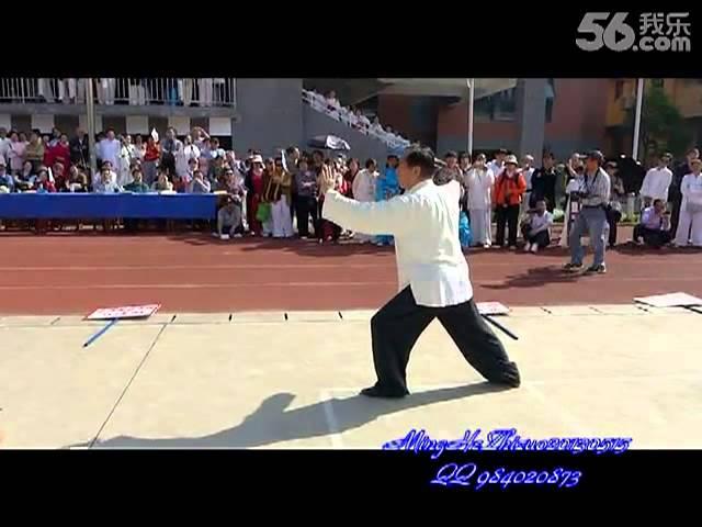 Yang Shi Taijiquan 85 Shi (back) - Master Zhao Youbin (赵幼斌)