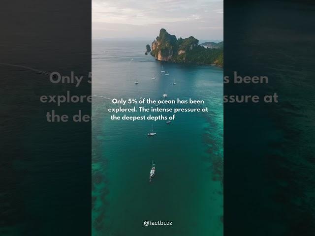 Olny 5% of Ocean has been explored ! || fact buzz|| #facts