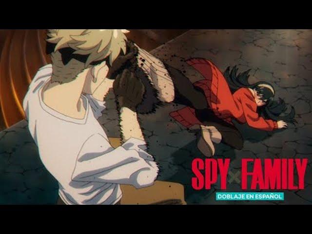 Loid vs Yor | SPY x FAMILY (doblaje en español)