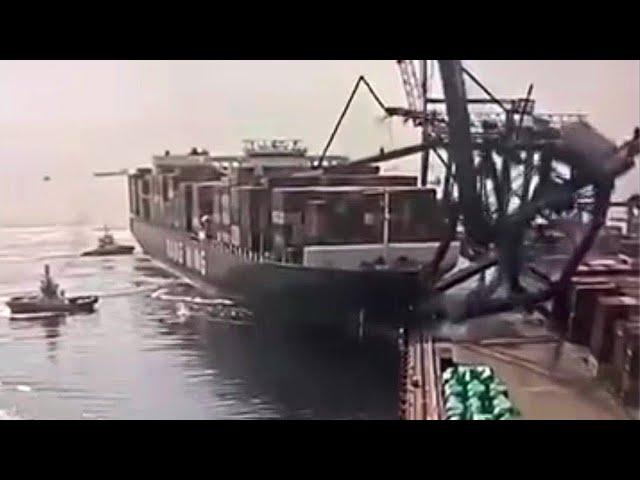 Container ship accident | YM WITNESS crashes into cranes