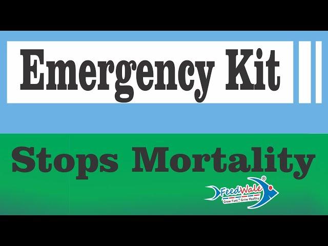 FeedWale Emergency Kit | Stops Mortality | How To Use