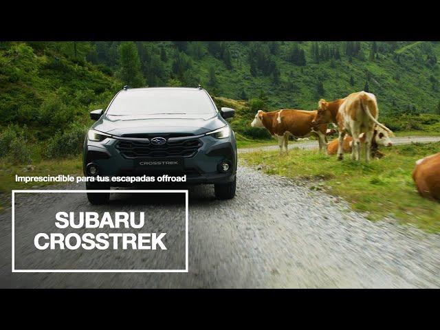 Subaru | Con Crosstrek, llegarás hasta la cima más alta