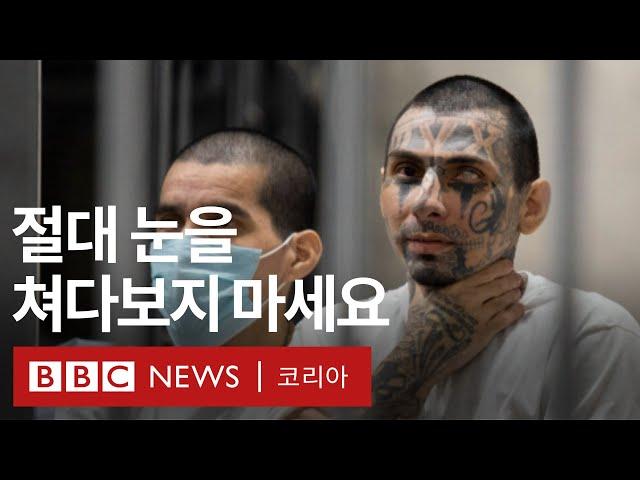 엘살바도르 초대형 교도소 '세코트'의 갱단원 수감자들 - BBC News 코리아