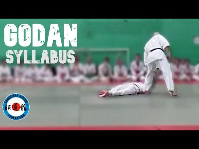 Shodokan Aikido Godan syllabus demo by Rob Milliner