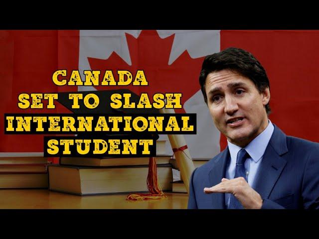 Canada Announces Two-year Cap On International Students. How Will It Affect Indians?