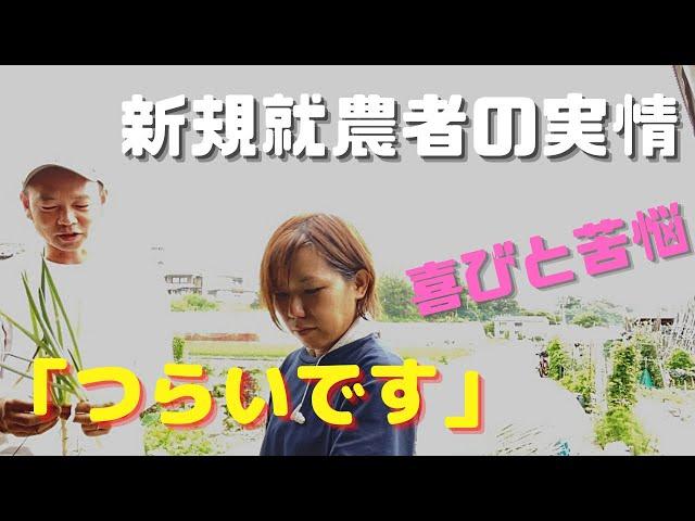 「青ねぎ農家の喜びと苦悩」独立6年目【大阪農家の本音】