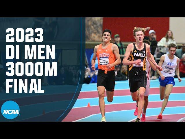 Men's 3000m - 2023 NCAA indoor track and field championships