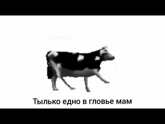 ПОЛЬСКАЯ КОРОВА - транскрипция на русском